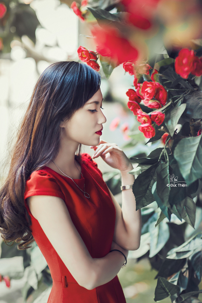 暴躁老女人免费看电视剧大全